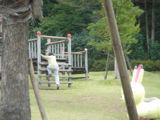 半布ヶ丘公園のレポート写真2（ゆふ）