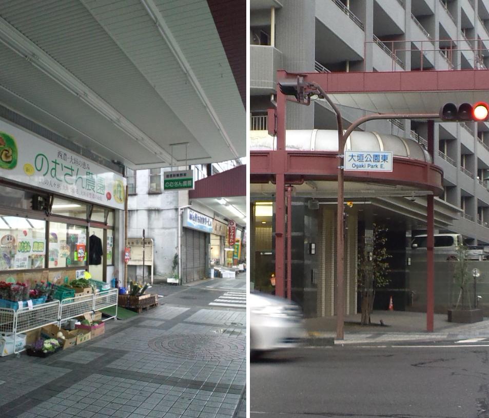 のむさん農園のレポート写真2（ぴかんち☆☆）