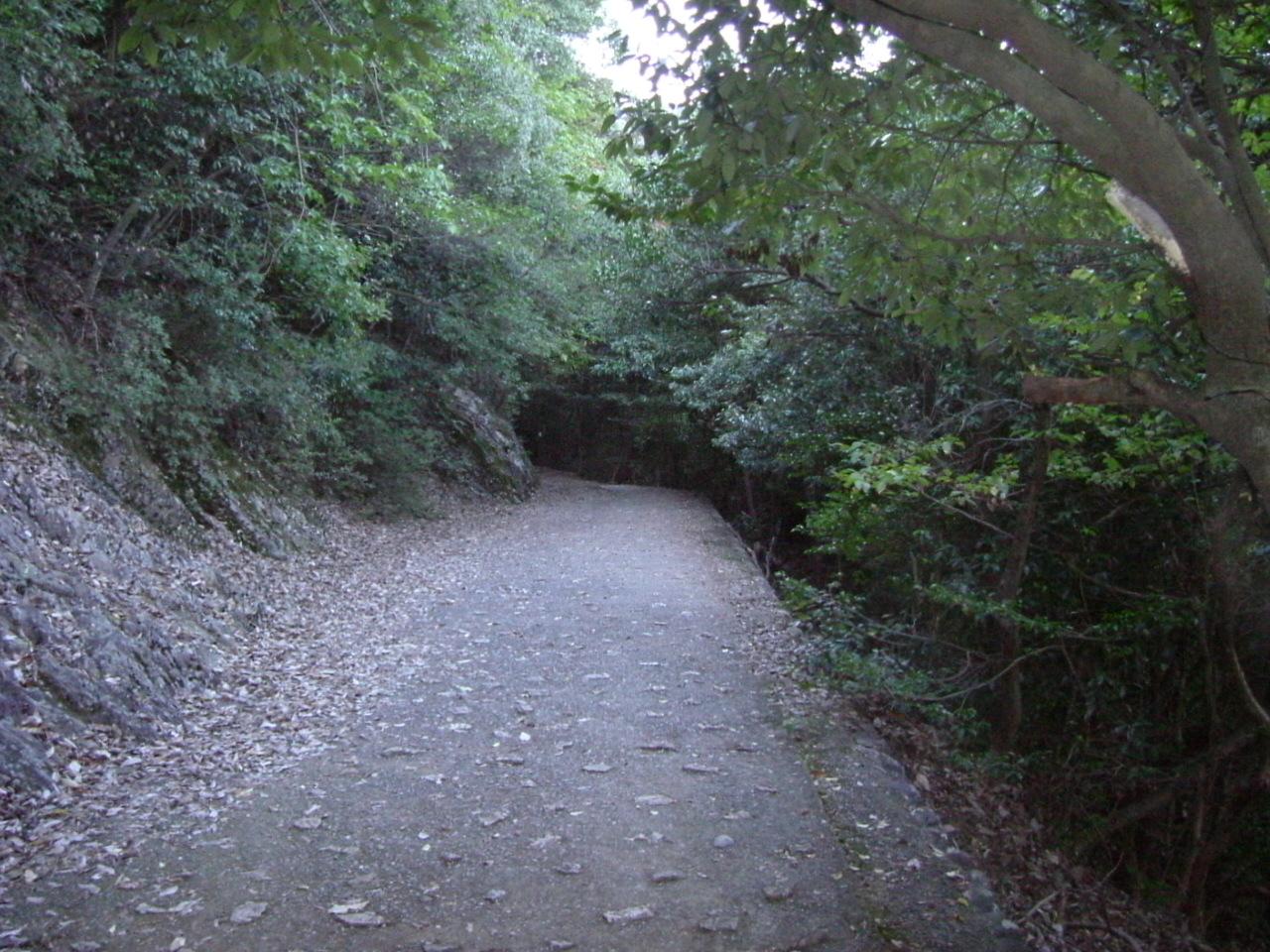 七曲登山道(大手道)のレポート写真2（チャラヒ）