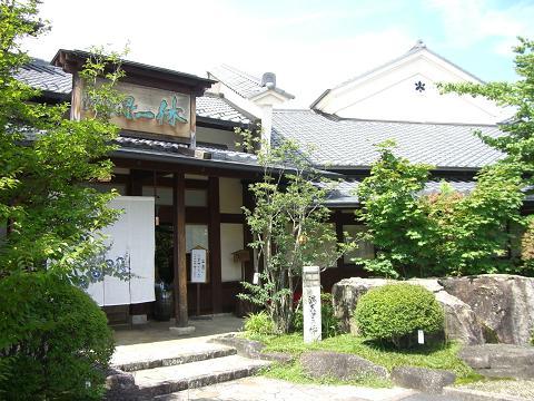 満天星一休 苗木店のレポート写真2（さくら）