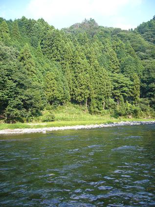 多良峡森林公園のレポート写真3（ゆかそ）