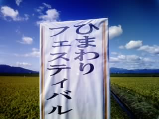 安八町ひまわり畑のレポート写真3（ゆかそ）