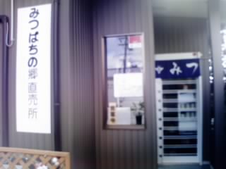 みつばちの郷のレポート写真3（ゆかそ）