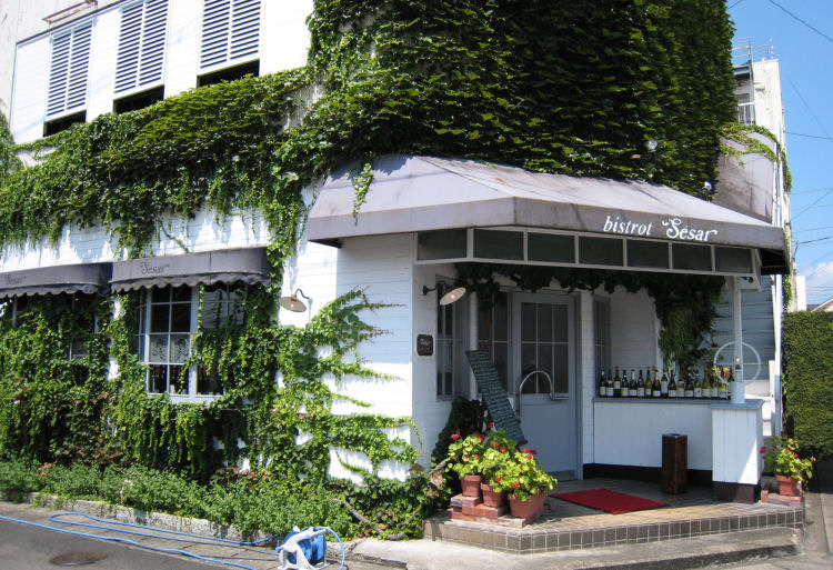 ビストロ セザールのレポート写真3（まみぃ）