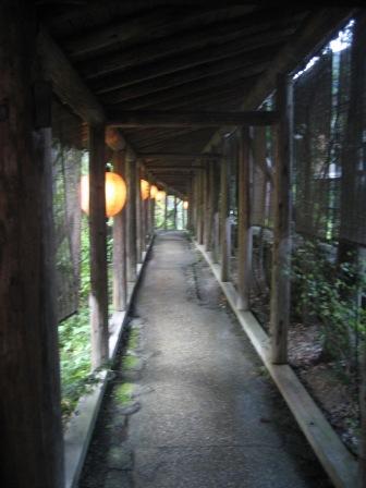 湯元 長座のレポート写真3（にしこ）