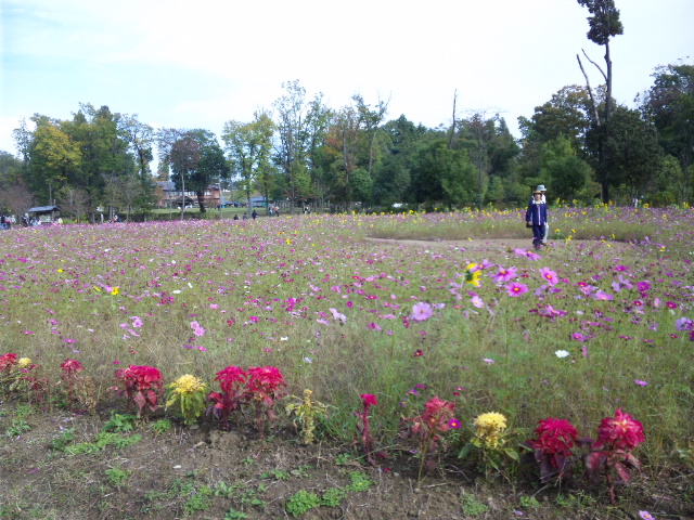 ぎふ清流里山公園のレポート写真3（レッツなシニア）