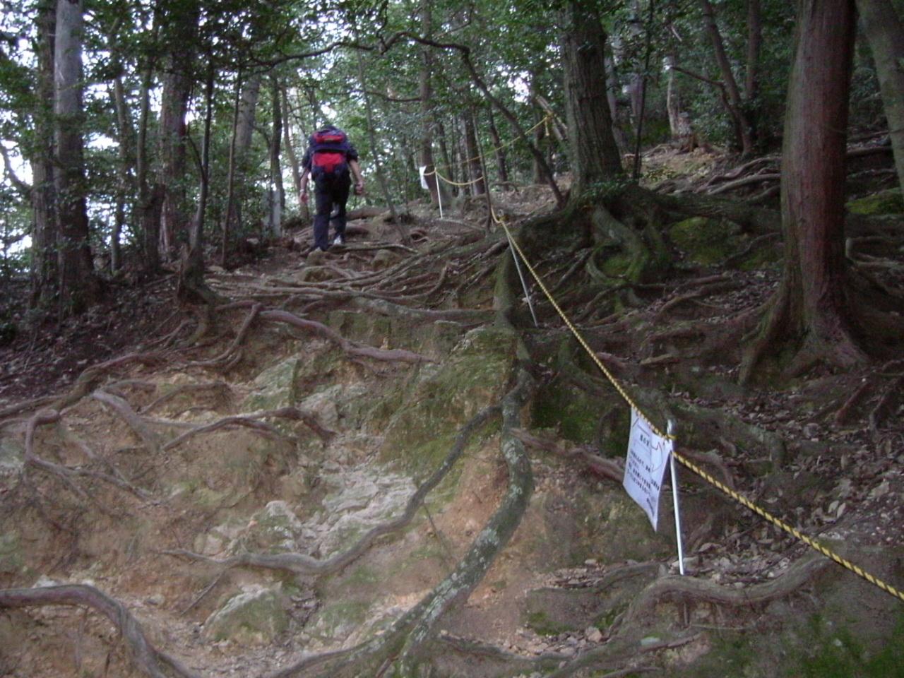 馬の背登山道のレポート写真3（チャラヒ）