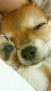 あけむのアバター