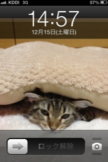 よっちゃん