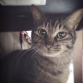むー
