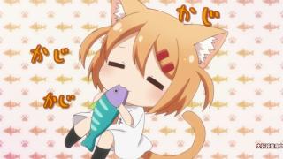 はなびさん