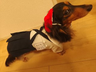みけるアバター