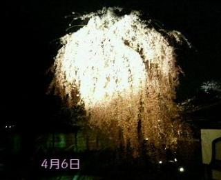 いちアバター