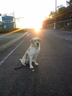 はなlove
