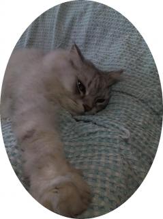 こうちゃん