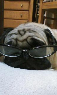 キューティーハニィアバター