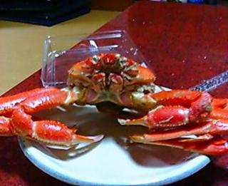 やっちゃった系のアバター
