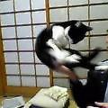 けーこアバター