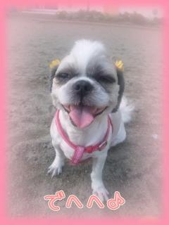 ふくふく(´ω｀)