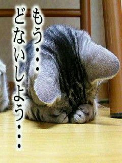 Ghostさん