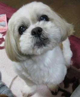 poti