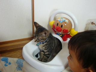 ゆふ