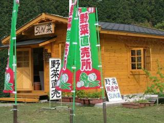 せんアバター